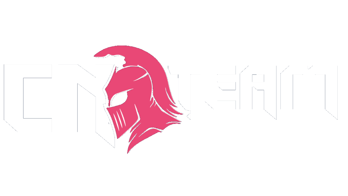 Team Netto